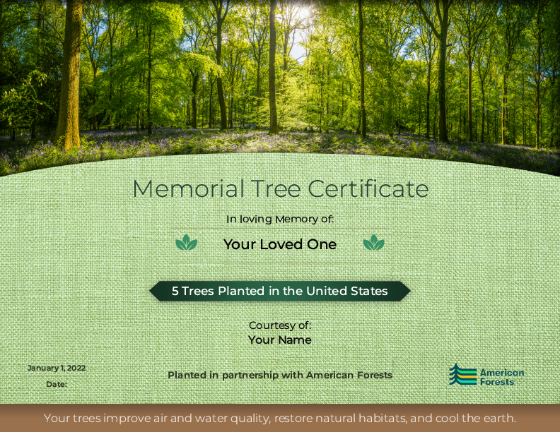 Tree Certificate