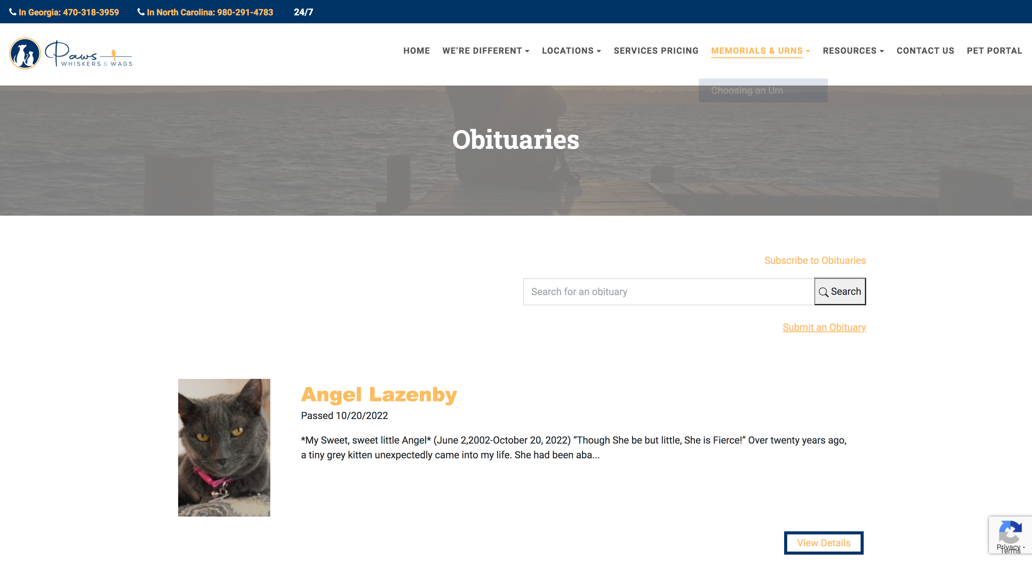 Obituaries Paws Whiskers and Wags